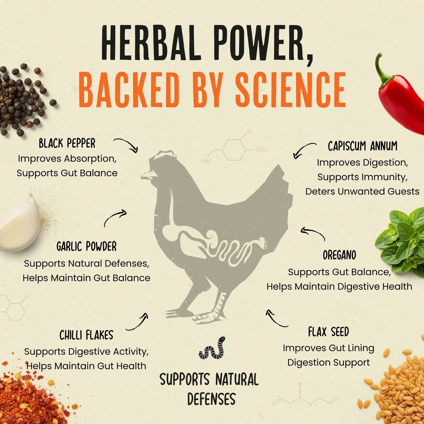 Daily Deworm + Gut Support