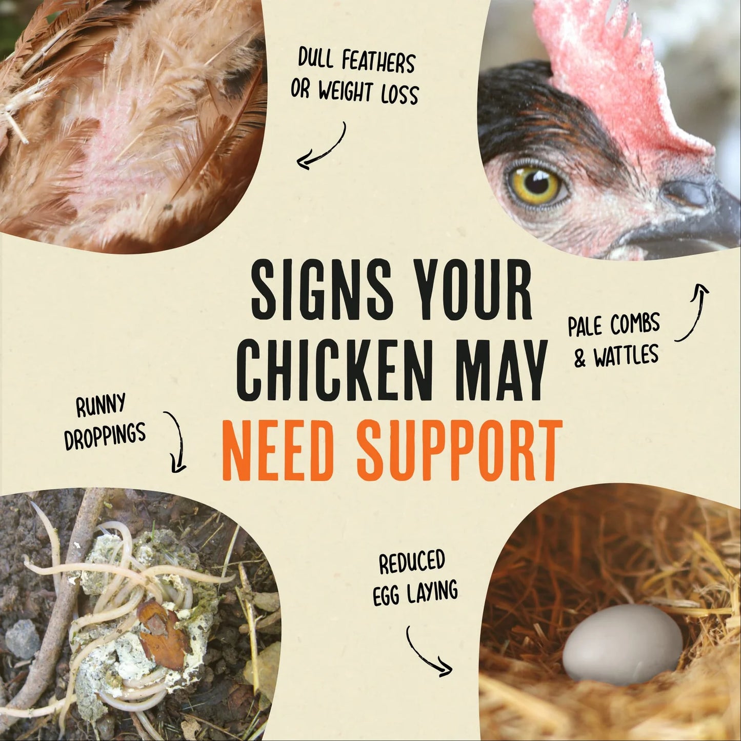 Daily Deworm + Gut Support